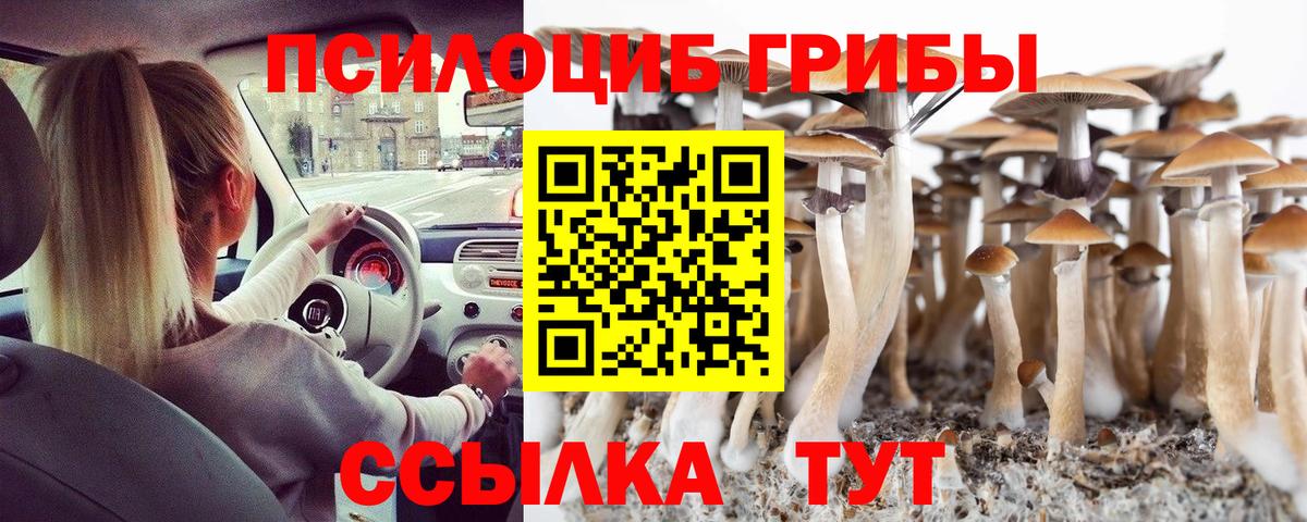 Галлюциногенные грибы Cubensis  Вход с VPN  Обь 
